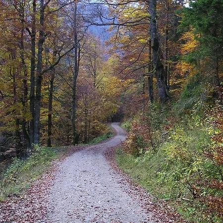 Reiss Füssen